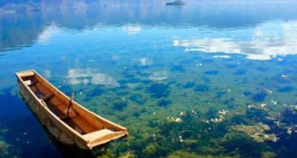 瀘沽湖的“水性楊花”開的最美？？